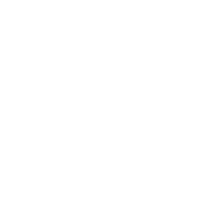 Prancheta 2